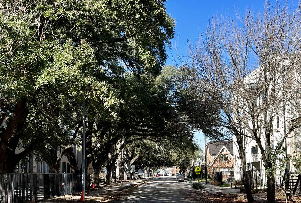 Luxe Home w/ Rooftop Terrace and Elevator - Houston, Texas