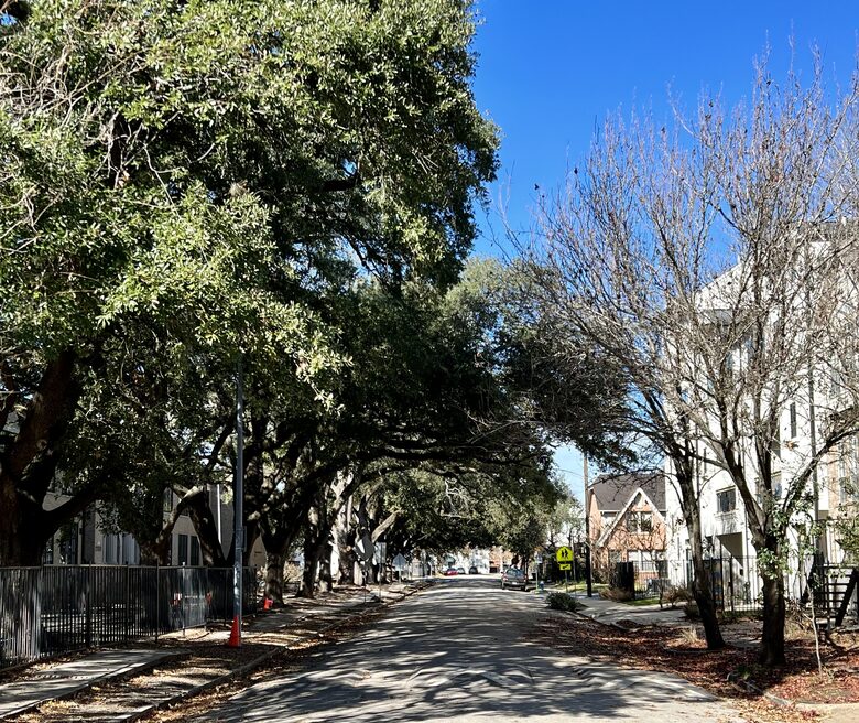Luxe Home w/ Rooftop Terrace and Elevator - Houston, Texas