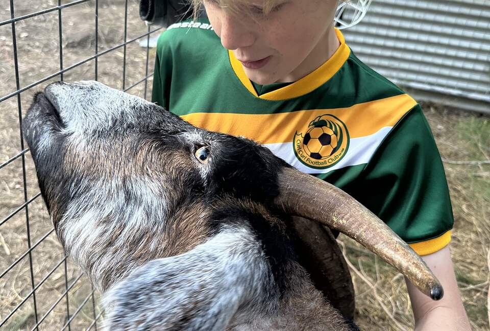 Sutherland Downs - Coomba Bay, Australia