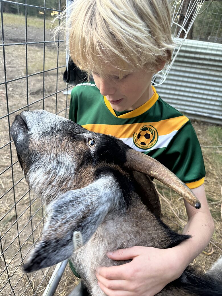 Sutherland Downs - Coomba Bay, Australia
