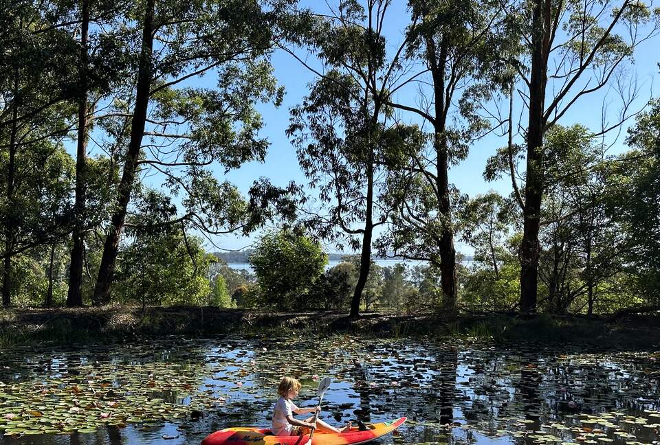 Sutherland Downs - Coomba Bay, Australia