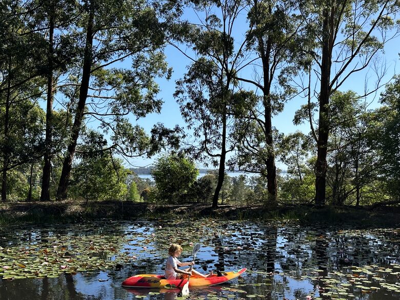 Sutherland Downs - Coomba Bay, Australia