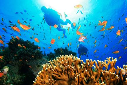 Bahama Beach Club Resort - Abaco, Bahamas