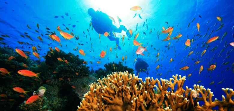 Bahama Beach Club Resort - Abaco, Bahamas