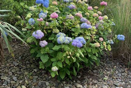 South End Beach Retreat | 1st floor duplex w/incredible views, short walk to beach - Ocean City, New Jersey