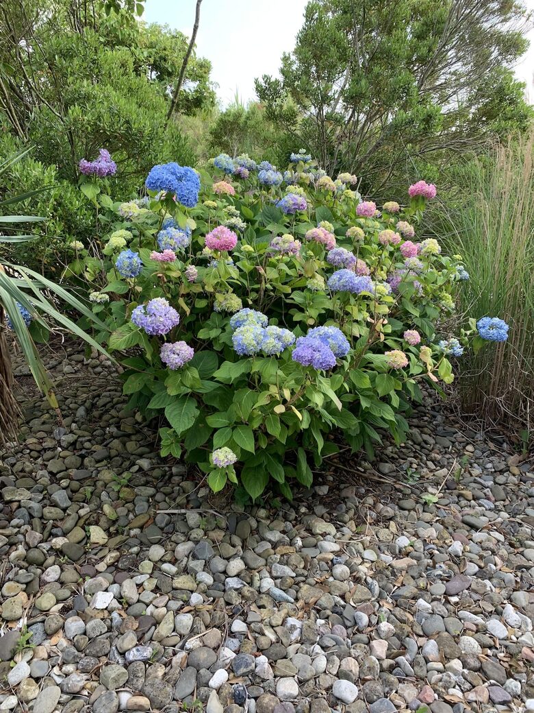 South End Beach Retreat | 1st floor duplex w/incredible views, short walk to beach - Ocean City, New Jersey