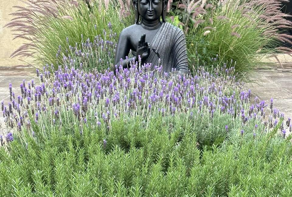 Casa Cayetana - San miguel de allende, Mexico