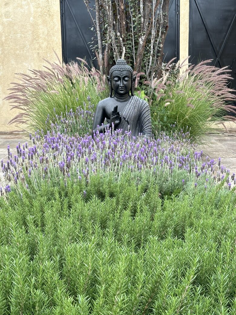 Casa Cayetana - San miguel de allende, Mexico