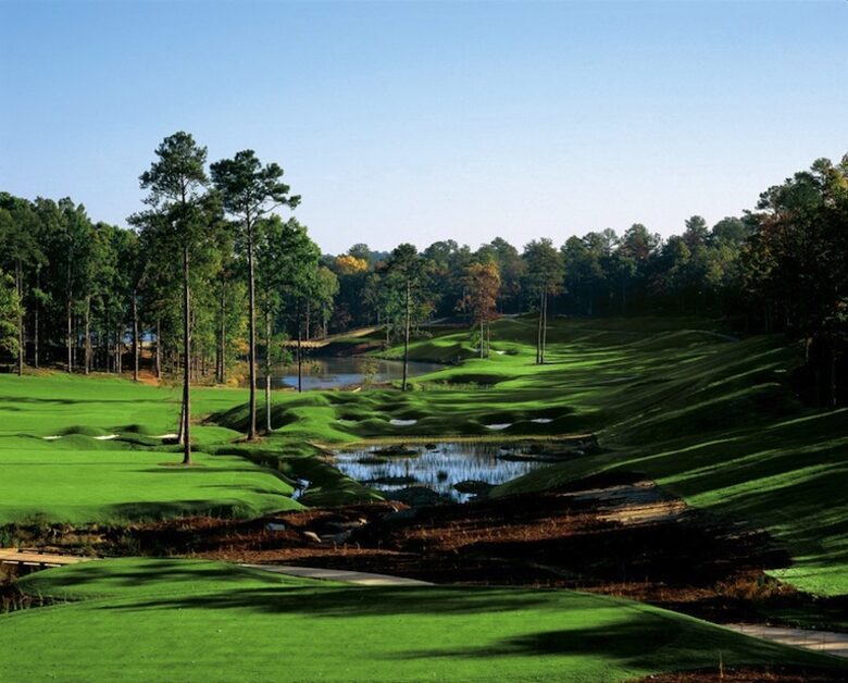 Reynolds MilliLago House - Greensboro, Georgia