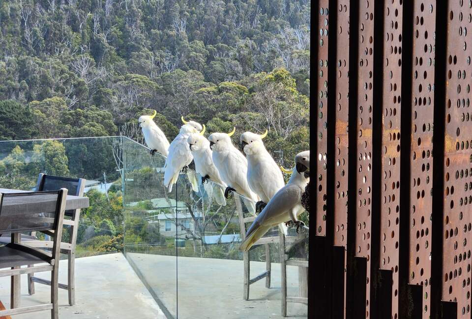 Villa Horizon - Separation Creek, Australia