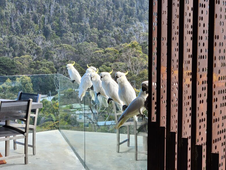 Villa Horizon - Separation Creek, Australia