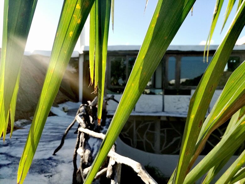 Luxury Penthouse 2 Blocks from the Beach and 5th Ave. - Playa del Carmen, Mexico