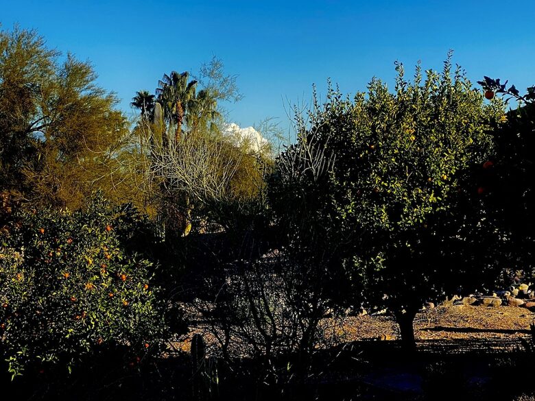Rio Verde Retreat | Country Club Access with Private Pool and Amazing Views! - Rio Verde, Arizona