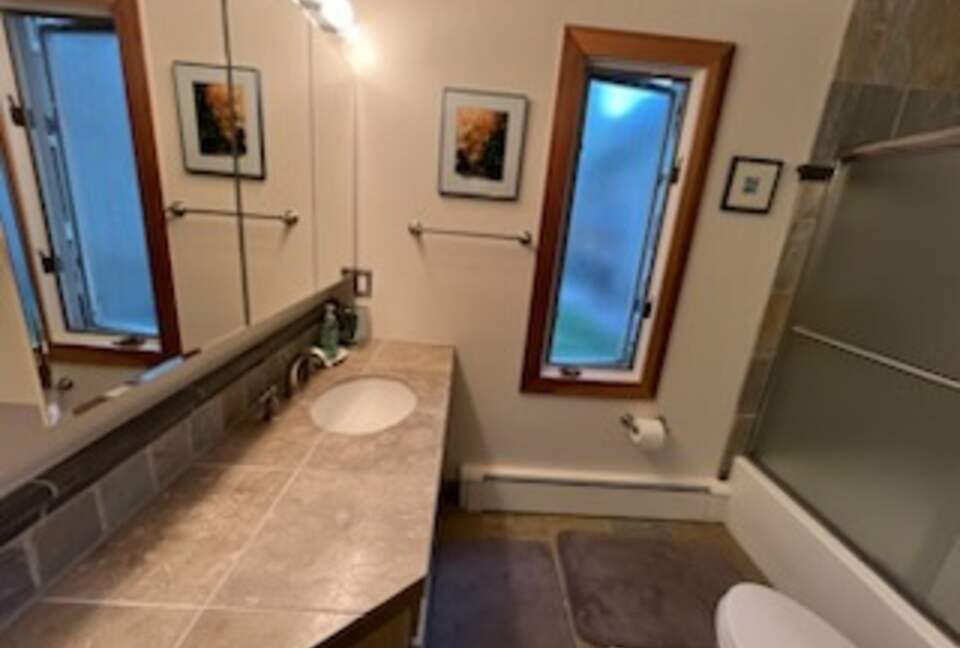 Golden Peak Creekside - Vail, Colorado