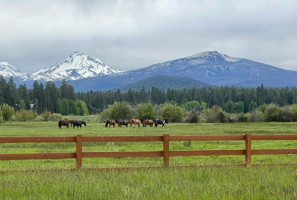Cabin in Metolius River Resort | Outdoor haven for golfers, adventure, and nature enthusiasts - Camp Sherman, Oregon