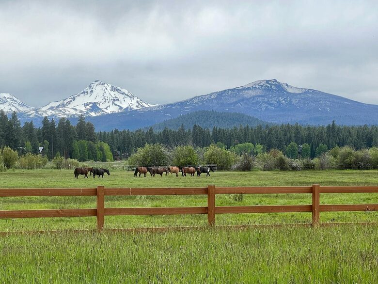 Cabin in Metolius River Resort | Outdoor haven for golfers, adventure, and nature enthusiasts - Camp Sherman, Oregon