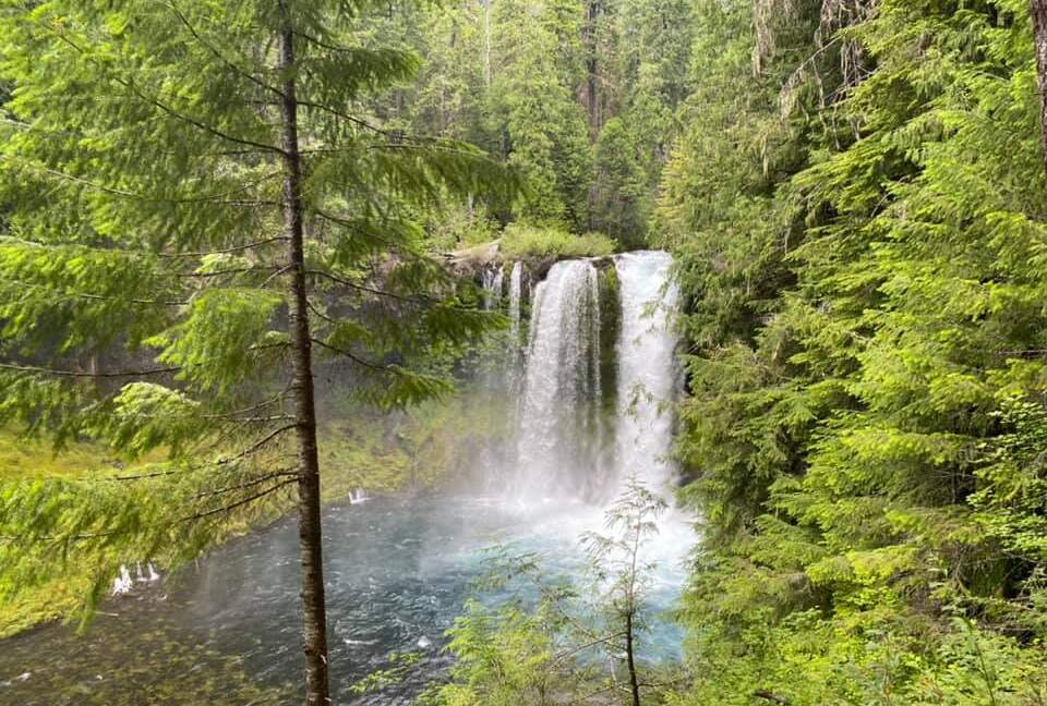 Cabin in Metolius River Resort | Outdoor haven for golfers, adventure, and nature enthusiasts - Camp Sherman, Oregon