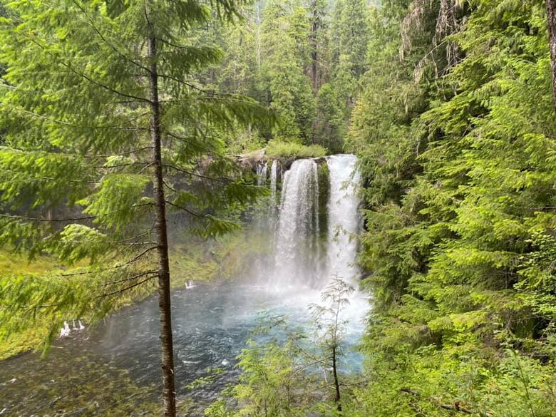 Cabin in Metolius River Resort | Outdoor haven for golfers, adventure, and nature enthusiasts - Camp Sherman, Oregon