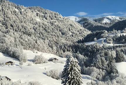 Chalet Alpen | Megeve - Praz Sur Arly, France