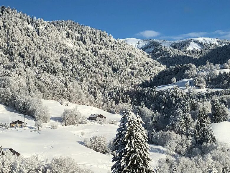 Chalet Alpen | Megeve - Praz Sur Arly, France