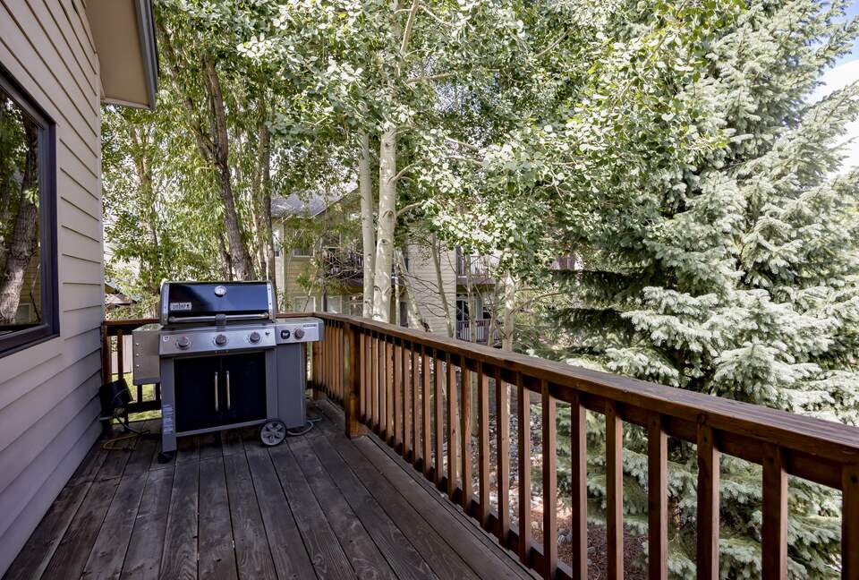 Mystic Mountain Comfort - Frisco, Colorado