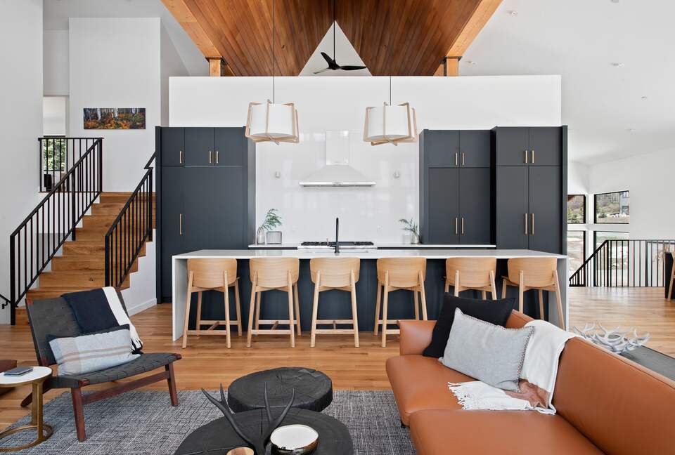 New Mountain Modern Home in the Trees - Crested Butte, Colorado