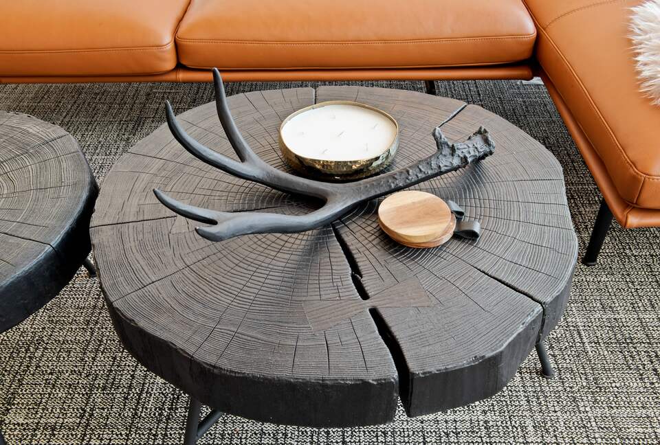 New Mountain Modern Home in the Trees - Crested Butte, Colorado