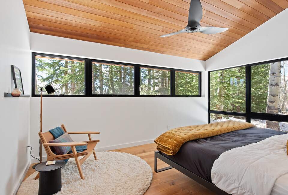 New Mountain Modern Home in the Trees - Crested Butte, Colorado