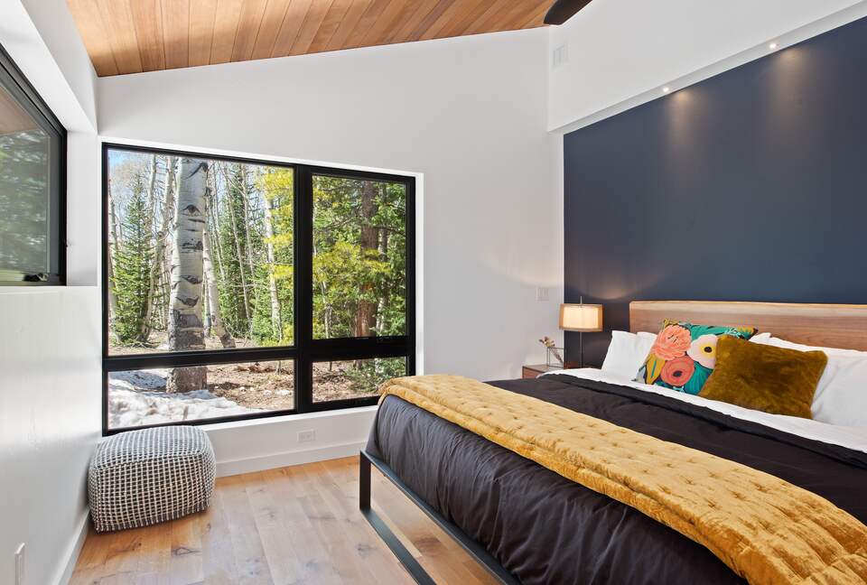 New Mountain Modern Home in the Trees - Crested Butte, Colorado