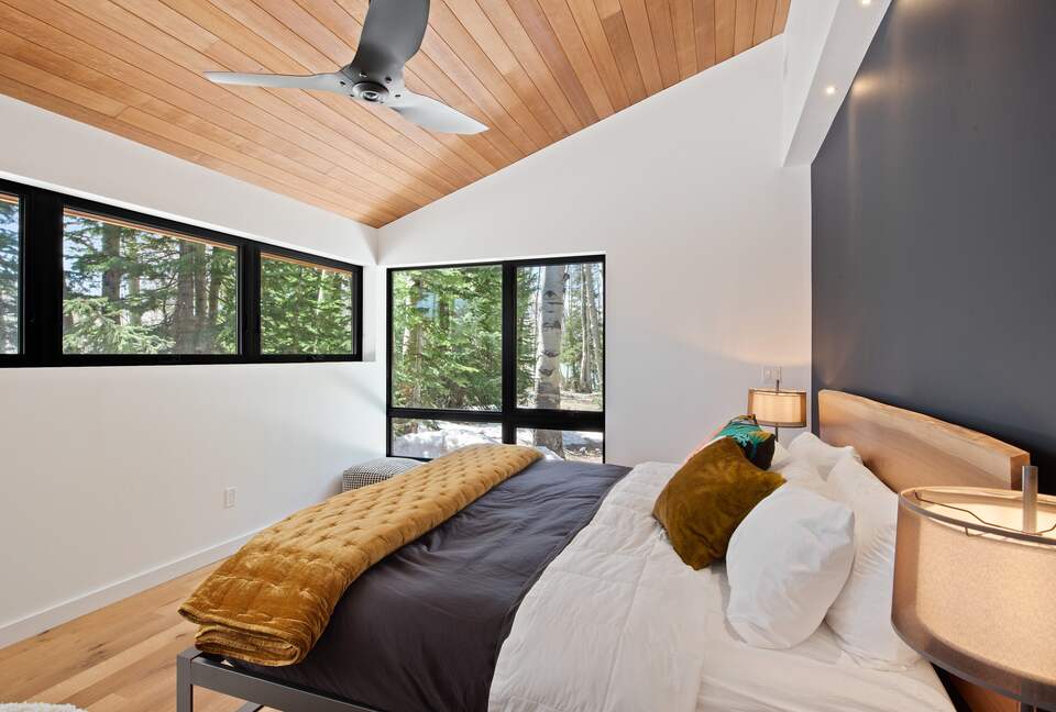 New Mountain Modern Home in the Trees - Crested Butte, Colorado