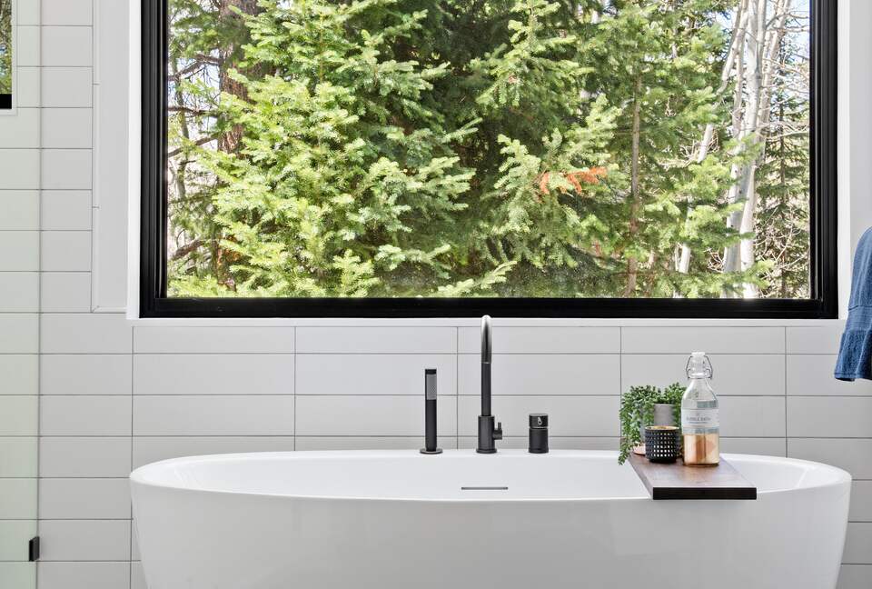 New Mountain Modern Home in the Trees - Crested Butte, Colorado