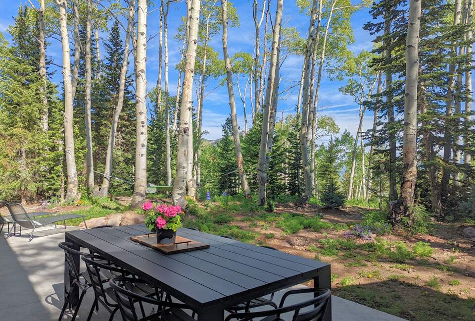 New Mountain Modern Home in the Trees - Crested Butte, Colorado
