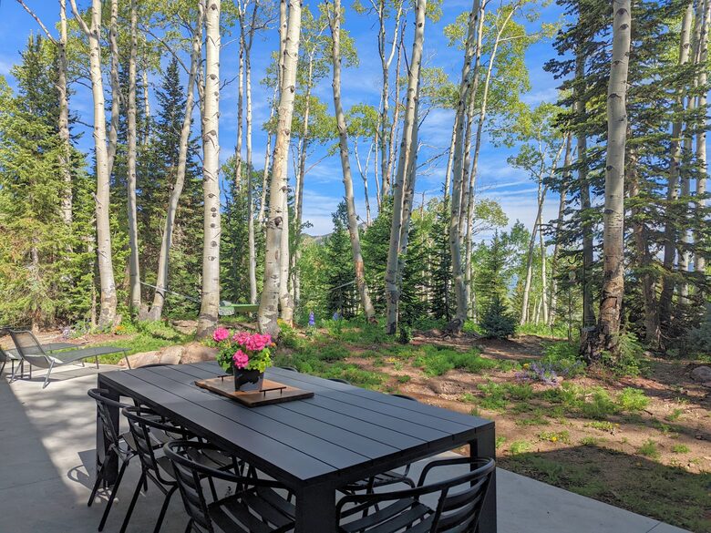 New Mountain Modern Home in the Trees - Crested Butte, Colorado