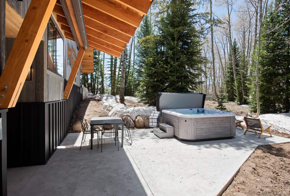 New Mountain Modern Home in the Trees - Crested Butte, Colorado