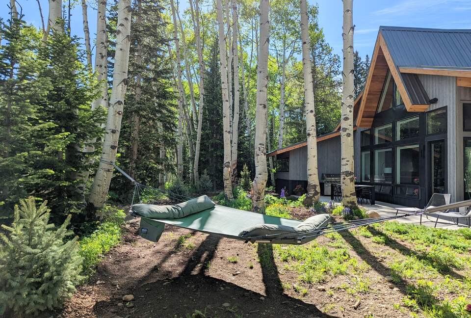 New Mountain Modern Home in the Trees - Crested Butte, Colorado
