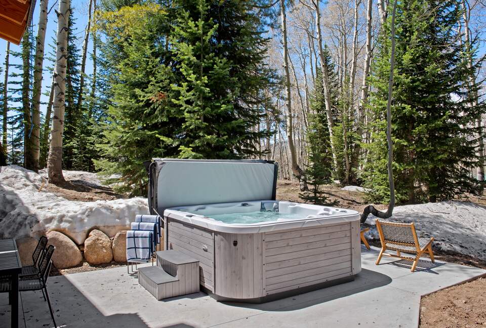 New Mountain Modern Home in the Trees - Crested Butte, Colorado