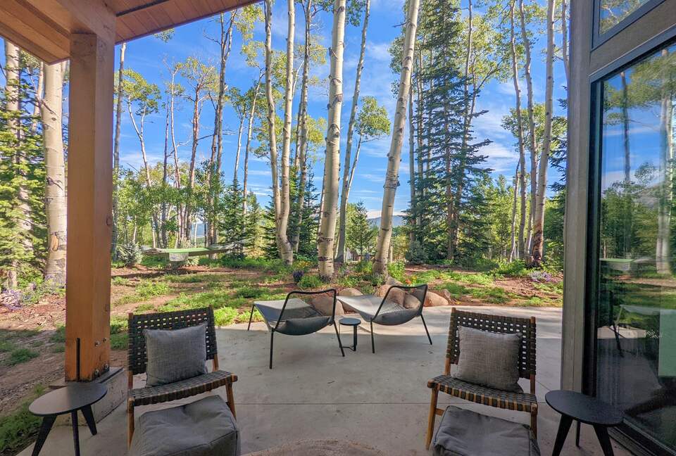 New Mountain Modern Home in the Trees - Crested Butte, Colorado