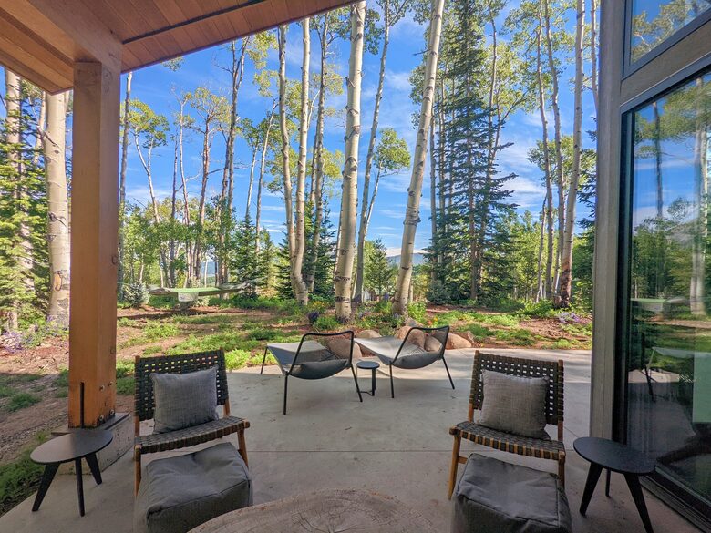 New Mountain Modern Home in the Trees - Crested Butte, Colorado