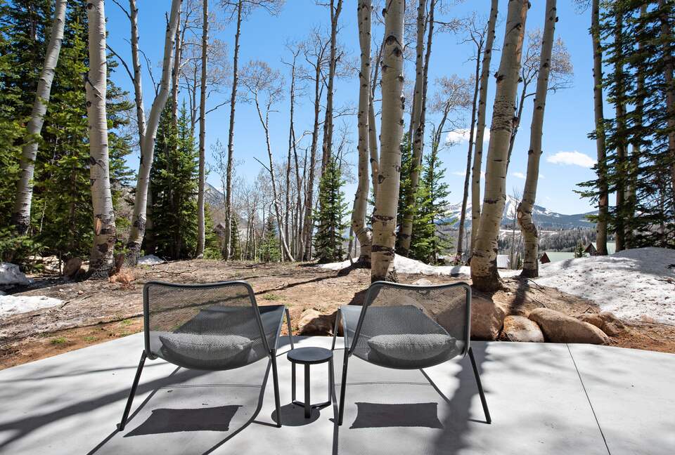 New Mountain Modern Home in the Trees - Crested Butte, Colorado