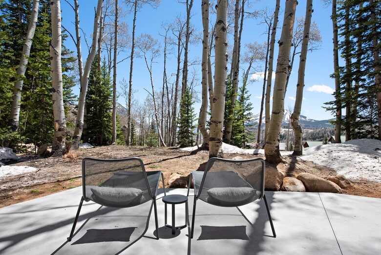 New Mountain Modern Home in the Trees - Crested Butte, Colorado