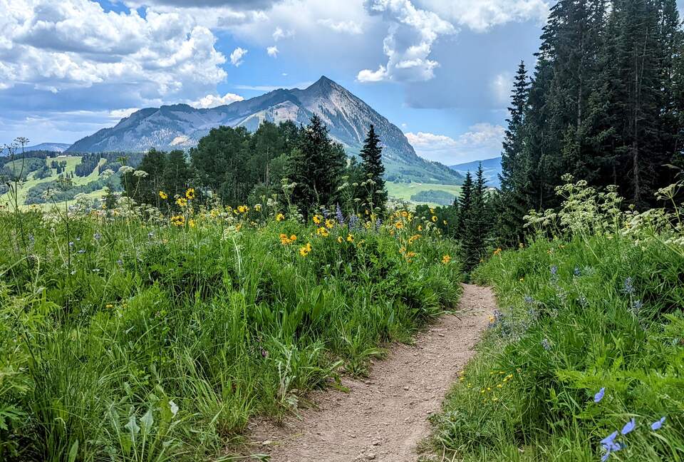 New Mountain Modern Home in the Trees - Crested Butte, Colorado