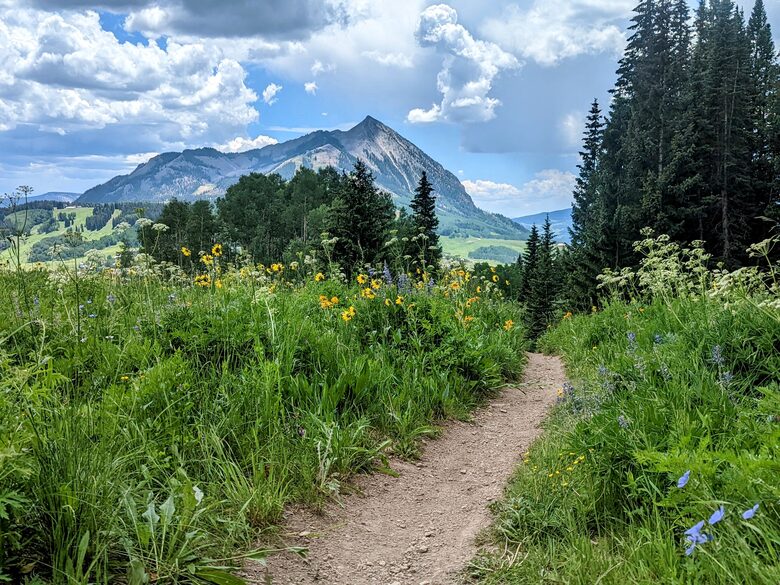 New Mountain Modern Home in the Trees - Crested Butte, Colorado