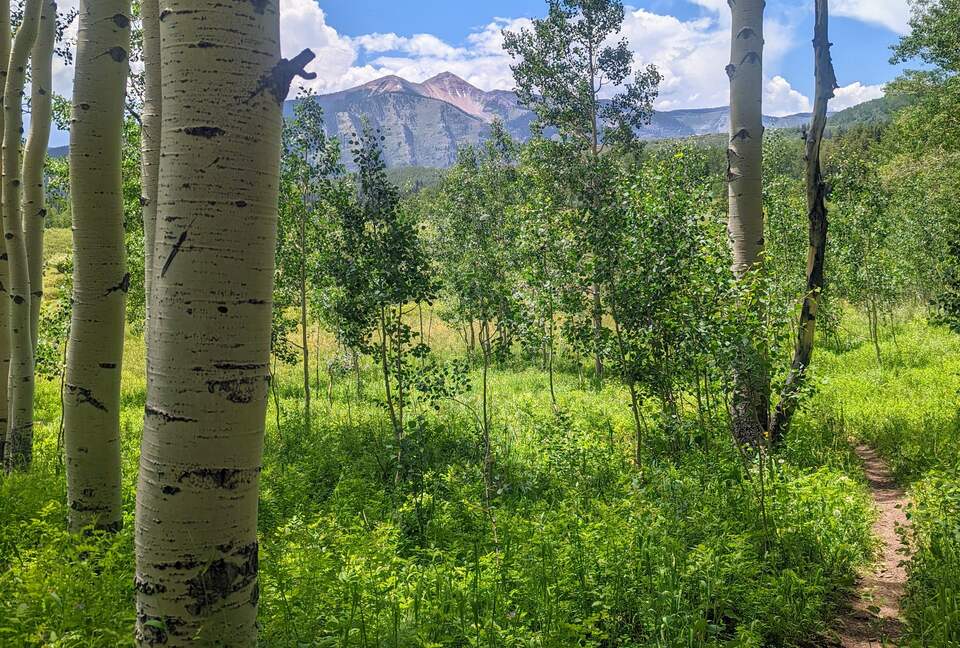 New Mountain Modern Home in the Trees - Crested Butte, Colorado