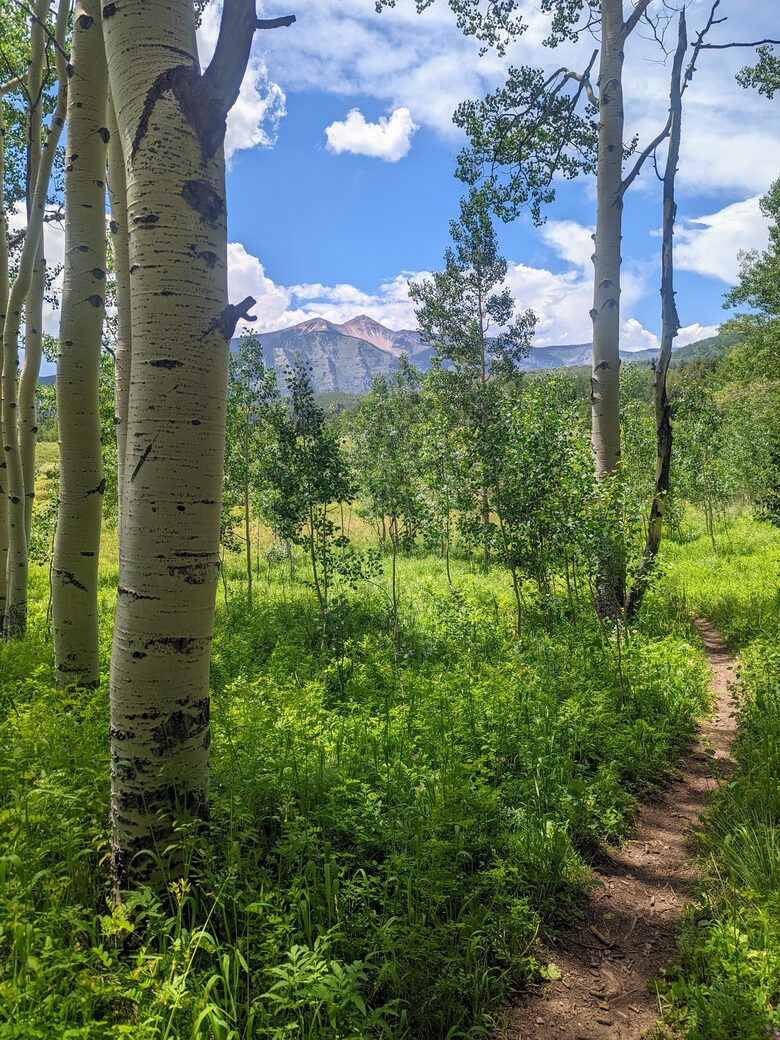 New Mountain Modern Home in the Trees - Crested Butte, Colorado