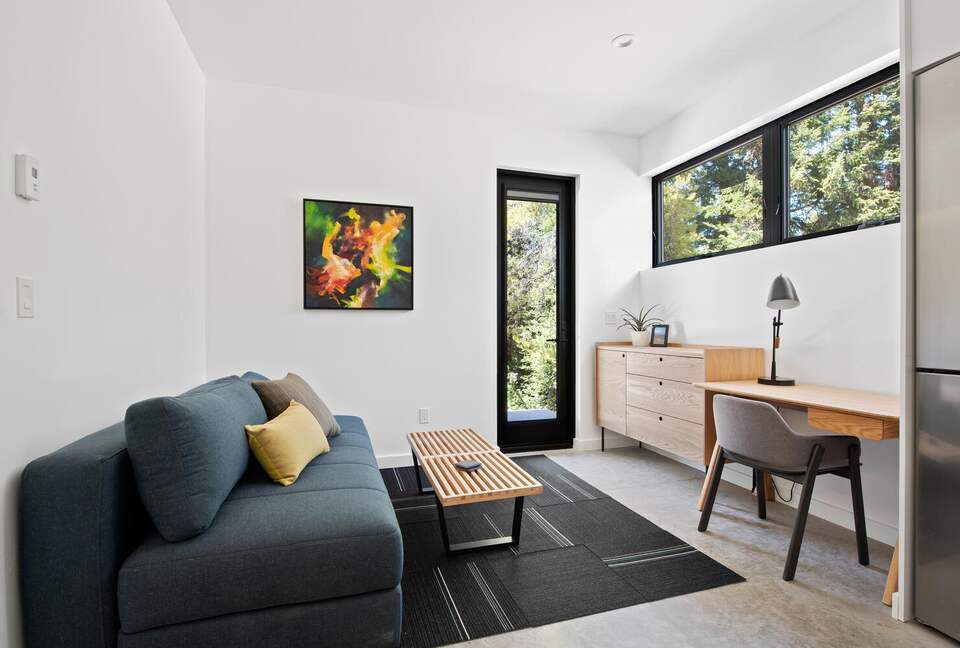 New Mountain Modern Home in the Trees - Crested Butte, Colorado