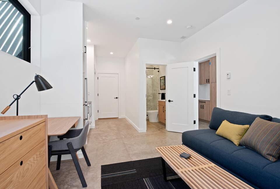 New Mountain Modern Home in the Trees - Crested Butte, Colorado