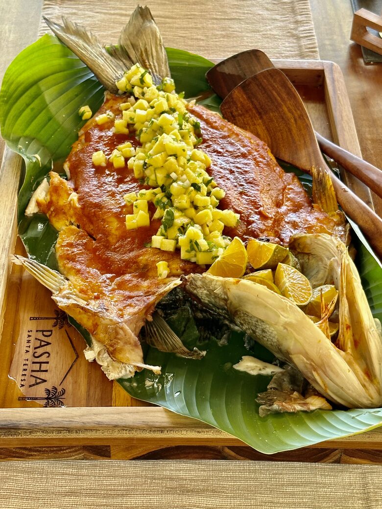 Pasha Costa Rica | Luxury Beachfront Estate - Santa Teresa, Costa Rica