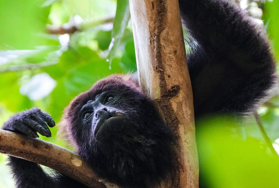 Topanga Villa - Ojochal, Costa Rica