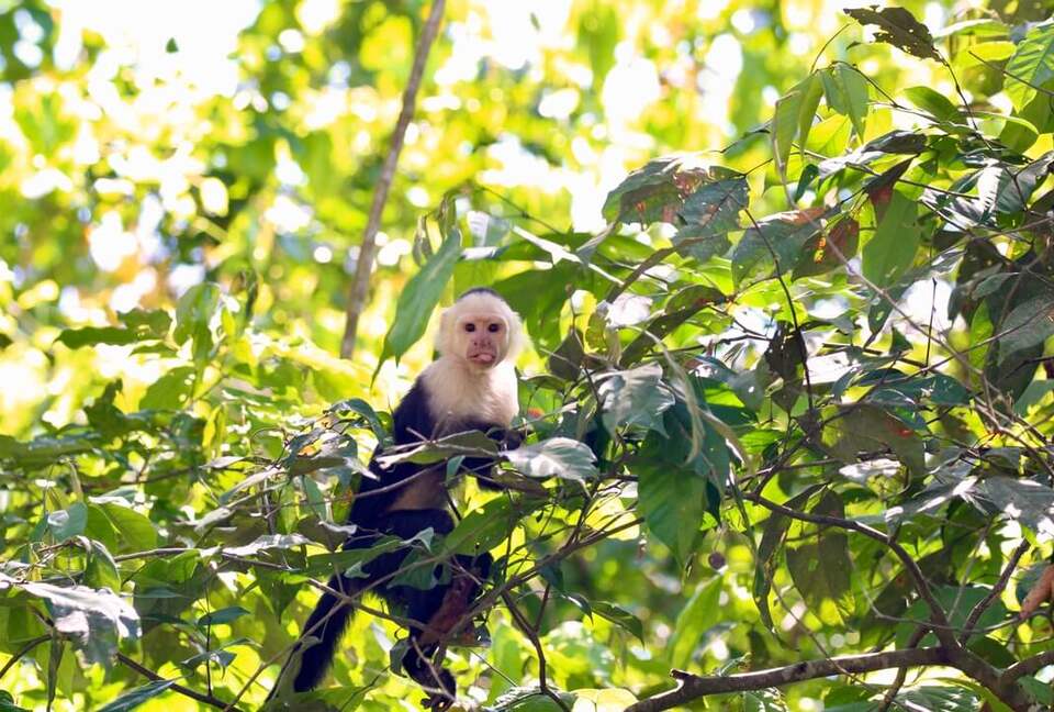 Topanga Villa - Ojochal, Costa Rica