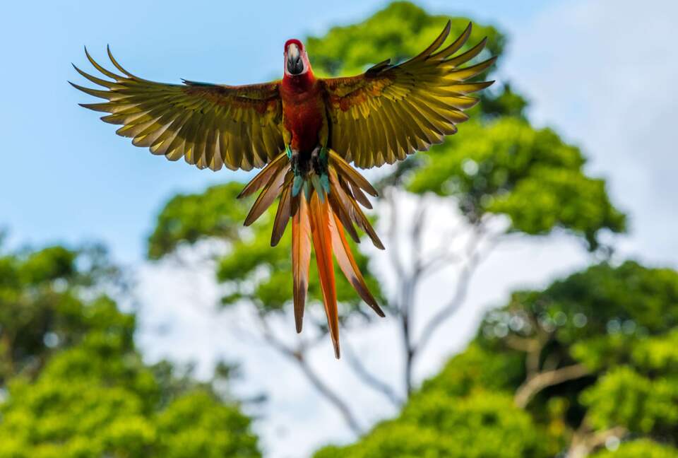 Topanga Villa - Ojochal, Costa Rica